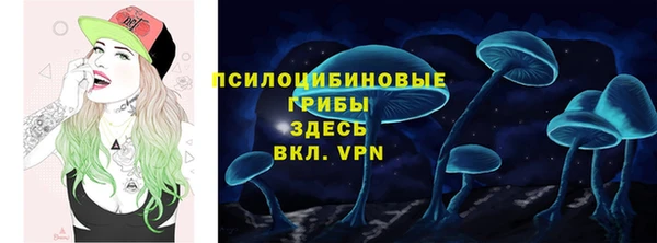 бутират Няндома