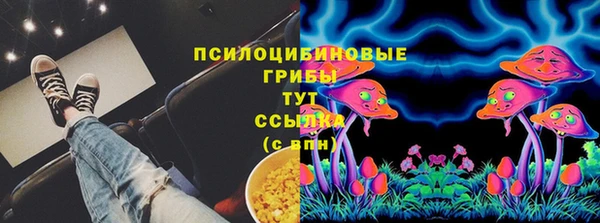 бутират Няндома