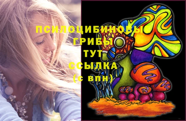 молекула духа Нязепетровск